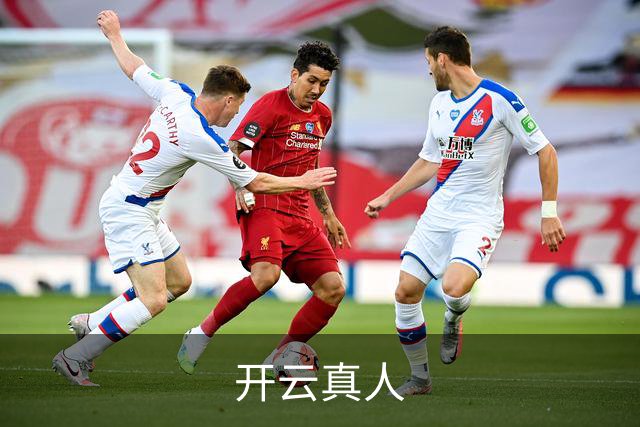 开云真人公司简介